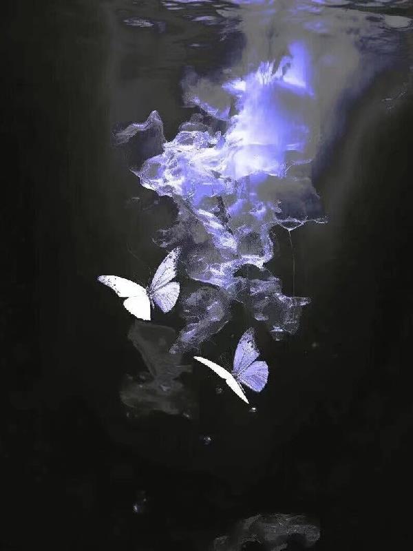 月海舞蝶免费阅读_月海舞蝶