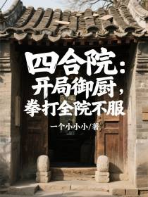 四合院：开局御厨，拳打全院不服免费阅读_四合院：开局御厨，拳打全院不服