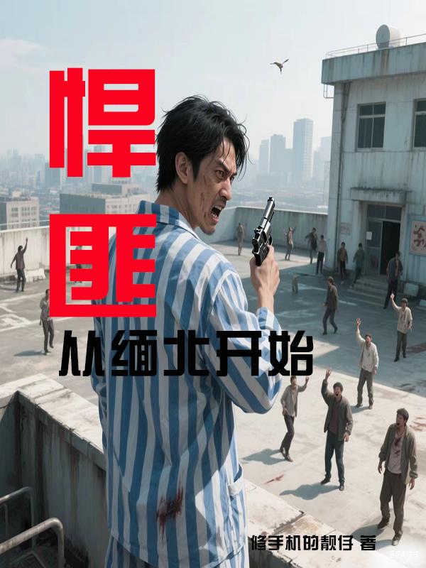 悍匪，从缅北开始免费阅读_悍匪，从缅北开始